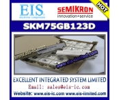 中国SKM75GB123D - SEMIKRON - SEMITRANS IGBT Modules New Range工厂